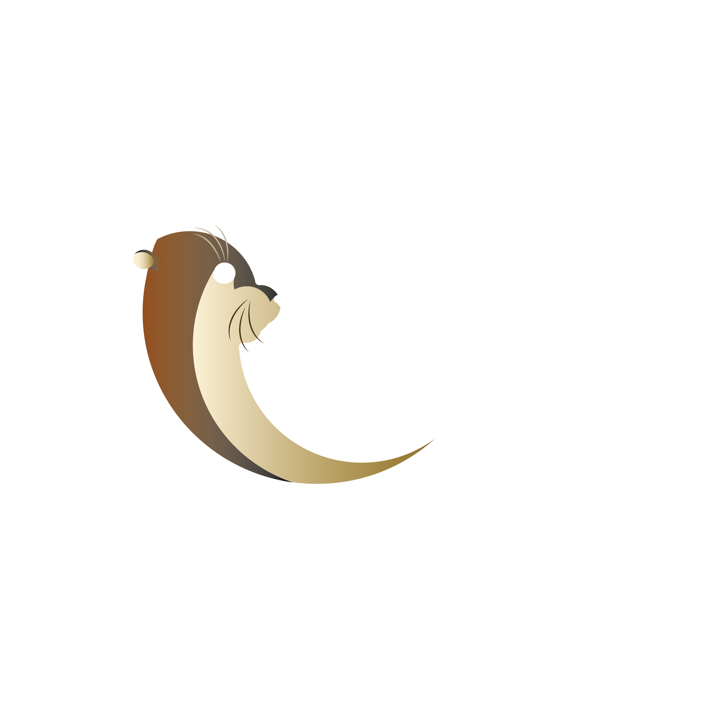 Otter Solutions